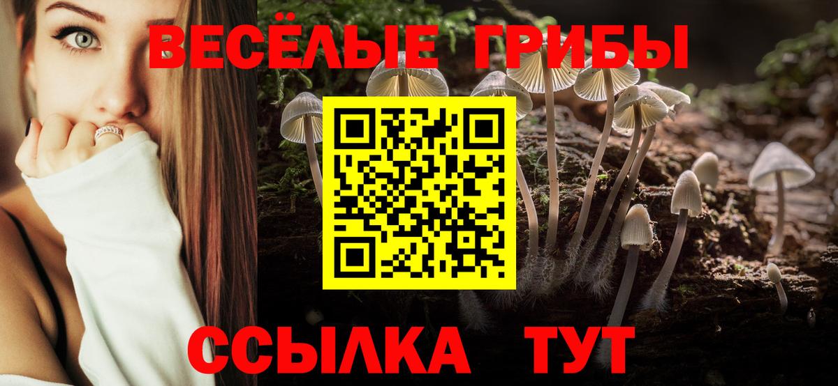 Галлюциногенные грибы GOLDEN TEACHER Фролово