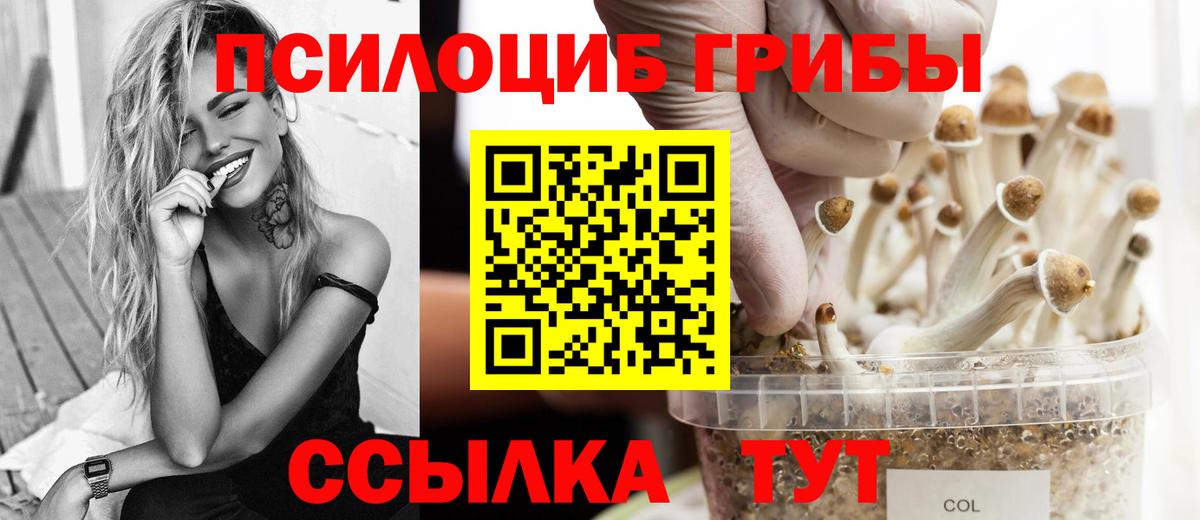 Фролово  Галлюциногенные грибы GOLDEN TEACHER  Вход с VPN  Псилоцибиновые грибы Cubensis 