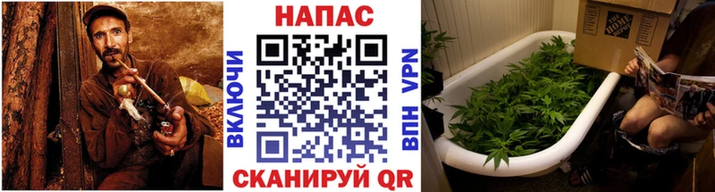 Марихуана ГИДРОПОН Фролово