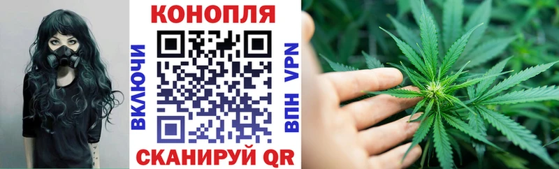 Бошки марихуана гибрид Фролово